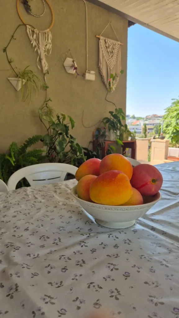 אווירה במרפסת: פירות מהחצר ופינה ירוקה