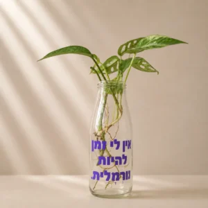 בקבוק צמיחה עם המשפט אין לי זמן להיות נורמלית