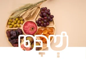 כרטיס חודש שבט לכיתה