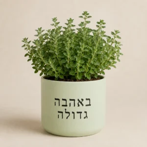 עציץ מיורן ירוק עם המשפט באהבה גדולה