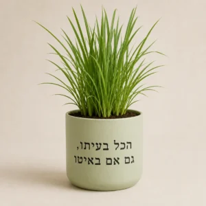 עציץ עירית ירוק עם המשפט הכל בעיתו, גם אם באיטו