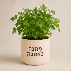 עציץ פטרוזיליה אפרסק עם המשפט מתנה באהבה