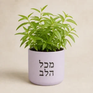 עציץ בזיליקום לילך עם המשפט מכל הלב