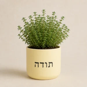עציץ טימין צהוב חיוור עם המשפט תודה