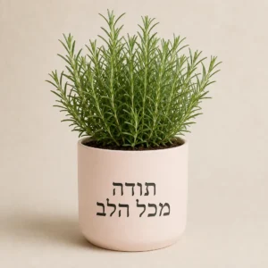 עציץ רוזמרין ורוד עם המשפט תודה מכל הלב